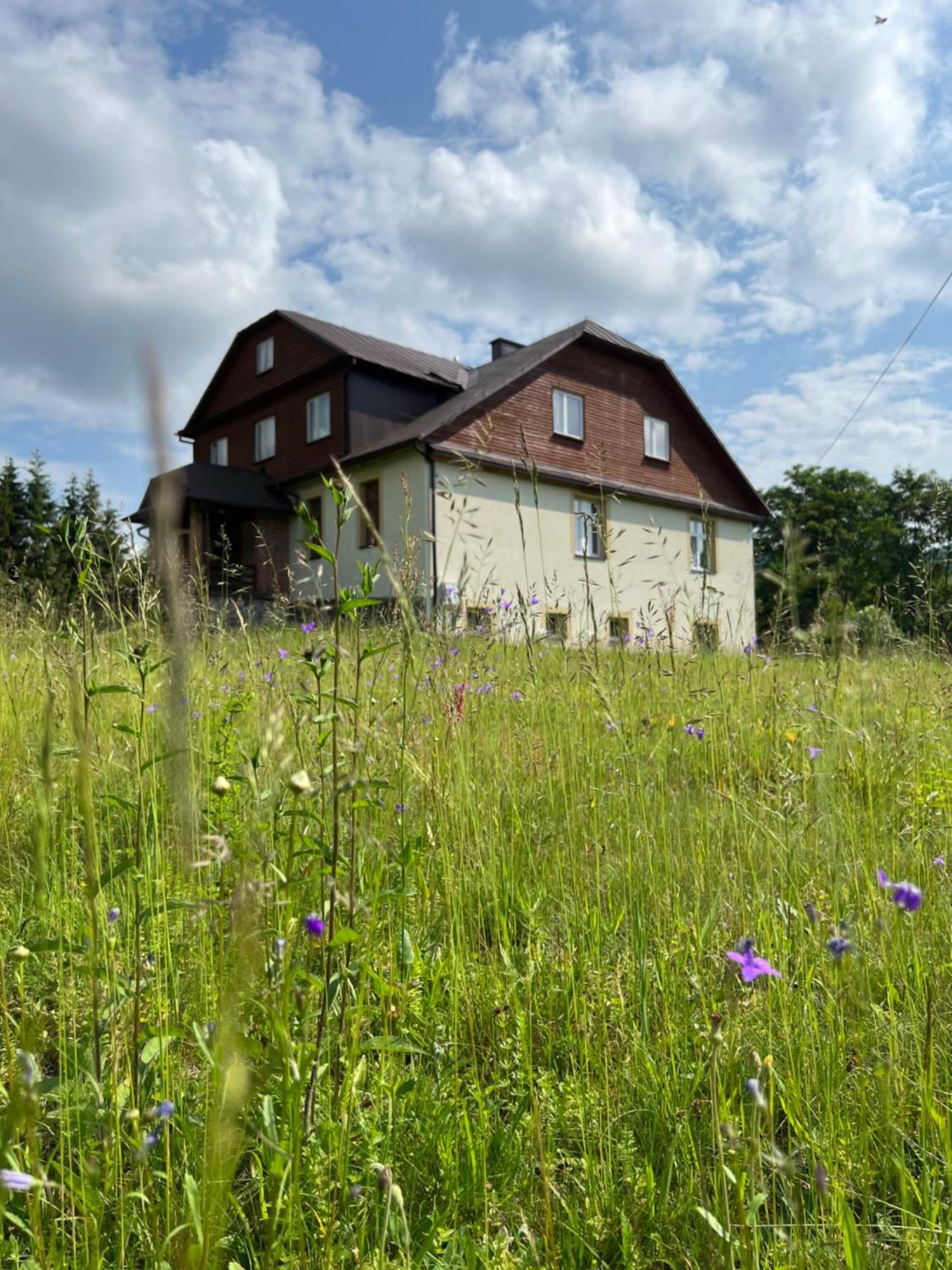 Cicha Dolina Hotel Cisna Exterior photo